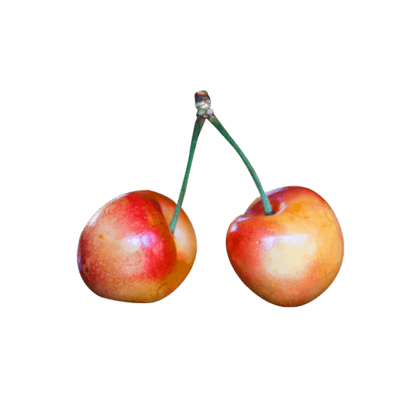OLT Juice - Image 2